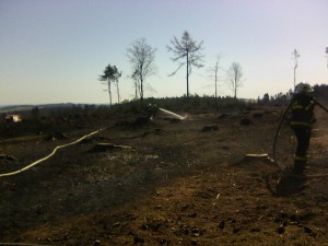 Photo0044